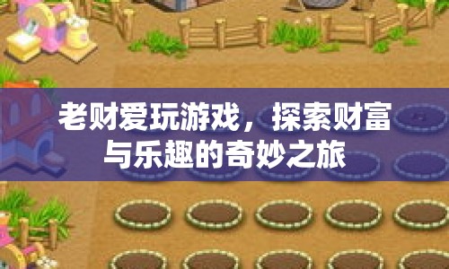 老財(cái)?shù)呢?cái)富與樂(lè)趣之旅，探索奇妙游戲世界