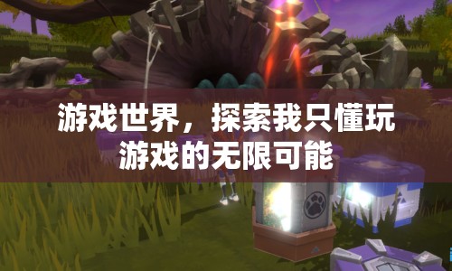 游戲世界，探索我的無(wú)限可能