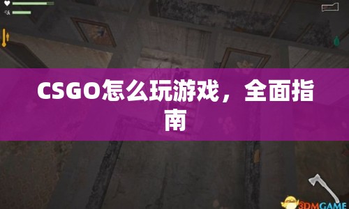 CSGO全面游戲指南，從入門(mén)到精通