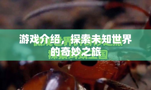 探索未知世界的奇妙之旅，一場精彩絕倫的游戲之旅