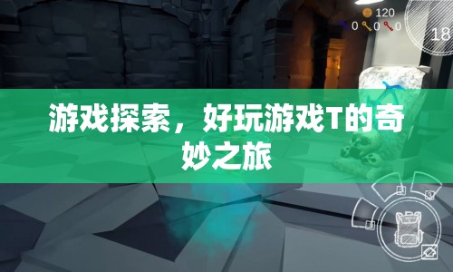 好玩游戲T的奇妙之旅，探索未知的游戲世界