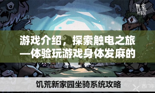觸電之旅，體驗身體發(fā)麻的奇妙冒險