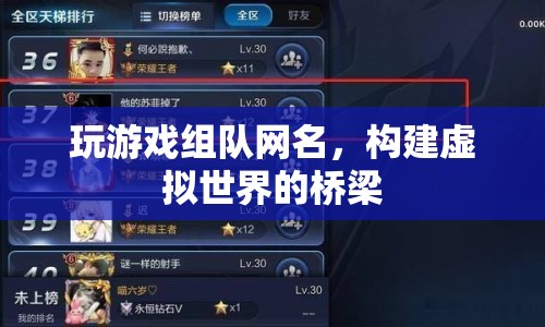 虛擬世界的橋梁，玩游戲組隊(duì)網(wǎng)名