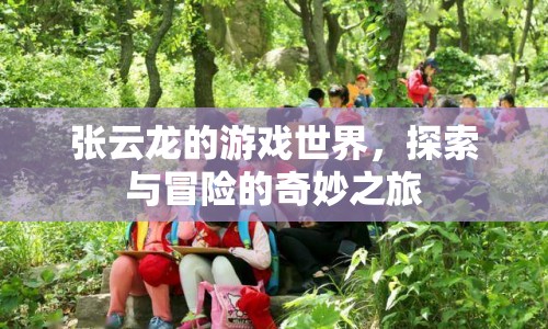 張云龍的游戲世界，探索與冒險的奇妙之旅