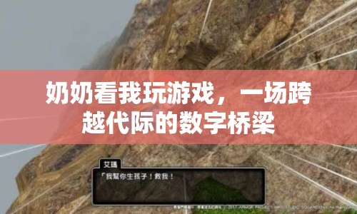 奶奶看我玩游戲，跨越代際的數(shù)字橋梁