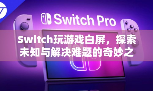 Switch游戲白屏，探索未知與解決難題的奇妙之旅