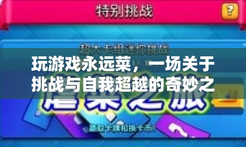 一場關于挑戰(zhàn)與自我超越的奇妙之旅，從游戲菜鳥到高手的蛻變之路