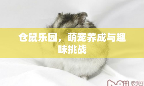 萌寵養(yǎng)成與趣味挑戰(zhàn)，倉鼠樂園等你來探索！