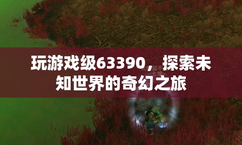 探索未知世界的奇幻之旅，游戲級(jí)63390的冒險(xiǎn)之旅