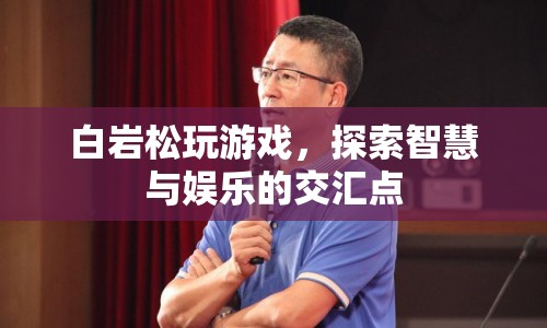 白巖松跨界玩游戲 探索智慧與娛樂(lè)交匯點(diǎn)