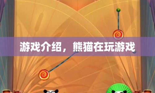 熊貓歡樂(lè)游戲，熊貓的奇妙冒險(xiǎn)之旅
