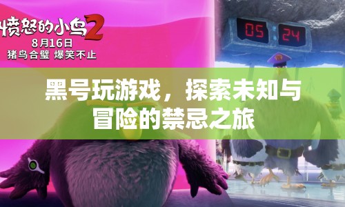 黑號(hào)冒險(xiǎn)，探索未知與禁忌的禁忌之旅