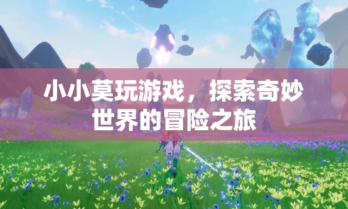 小小莫的奇妙冒險，探索游戲世界的奇幻之旅