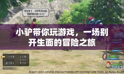 小驢帶你開啟冒險(xiǎn)之旅，一場(chǎng)別開生面的游戲盛宴