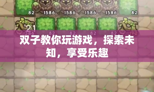 探索未知，享受樂趣，雙子帶你玩轉(zhuǎn)游戲世界