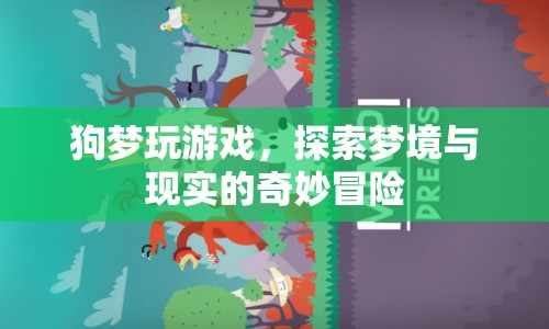 狗夢玩游戲，探索夢境與現(xiàn)實(shí)的奇妙冒險(xiǎn)之旅