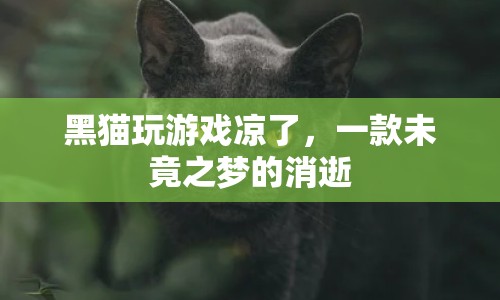 未竟之夢，黑貓游戲涼涼，玩家遺憾告別