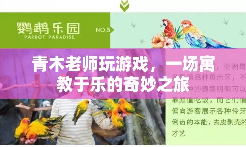 青木老師寓教于樂(lè)，游戲之旅開(kāi)啟智慧大門(mén)