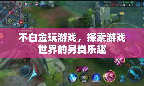 探索游戲世界的另類(lèi)樂(lè)趣，不白金也能樂(lè)在其中