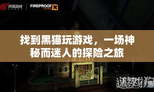 黑貓玩游戲，神秘而迷人的探險(xiǎn)之旅