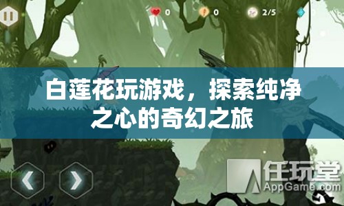 白蓮花奇幻之旅，探索純凈之心的游戲之旅