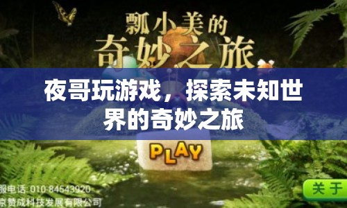 夜哥游戲探索，未知世界的奇妙冒險(xiǎn)之旅