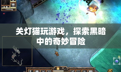 黑暗中的冒險(xiǎn)，關(guān)燈貓的游戲之旅