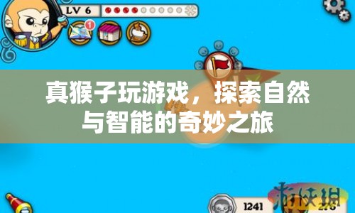 真猴子玩游戲，探索自然與智能的奇妙之旅