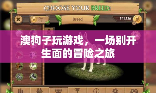 澳狗子玩游戲，一場別開生面的冒險(xiǎn)之旅