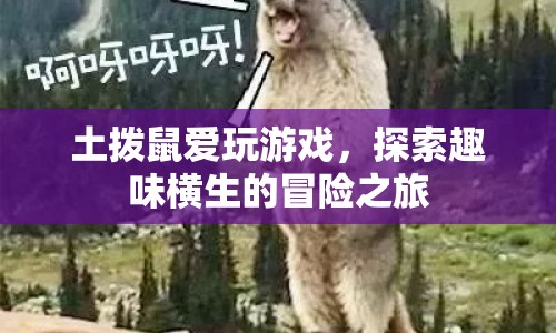土撥鼠的冒險之旅，探索趣味橫生的游戲世界