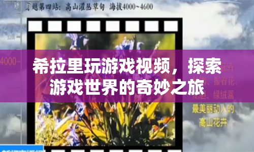 探索游戲世界的奇妙之旅，希拉里游戲視頻
