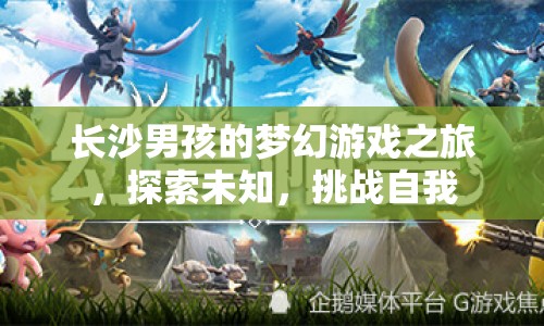 長(zhǎng)沙男孩的夢(mèng)幻游戲之旅，探索未知，挑戰(zhàn)自我