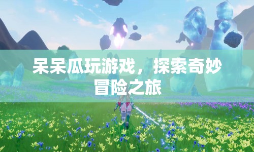 呆呆瓜的奇妙冒險之旅，探索游戲世界的無限可能