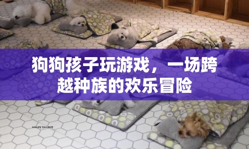 狗狗與孩子，跨越種族的歡樂冒險