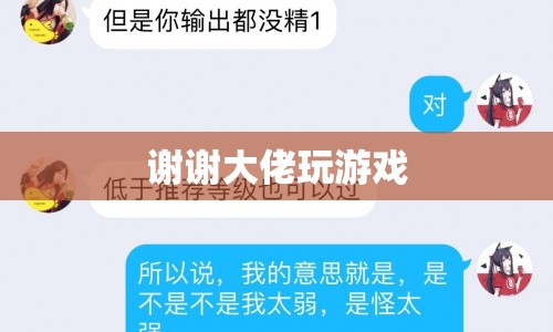 大佬游戲之旅，探索未知，挑戰(zhàn)極限