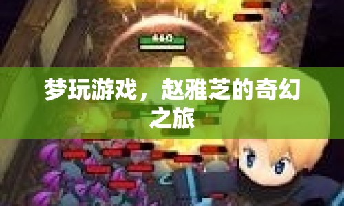 趙雅芝奇幻之旅，夢玩游戲