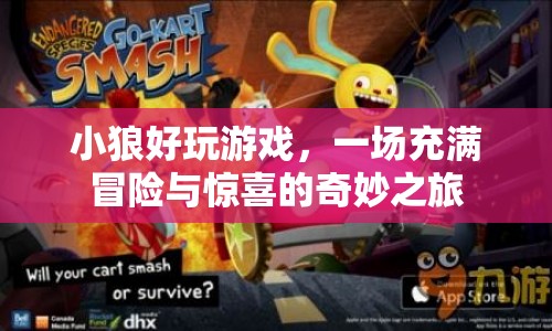 小狼好玩游戲，冒險與驚喜的奇妙之旅