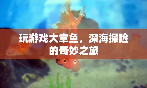 大章魚深海探險，奇妙之旅開啟