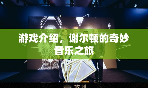 謝爾頓的奇妙音樂之旅，探索音樂世界的奇妙之旅
