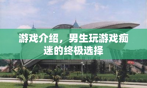 男生癡迷的游戲盛宴，終極選擇來襲！