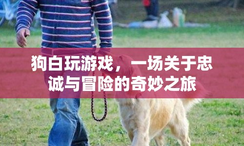 狗白，一場(chǎng)關(guān)于忠誠(chéng)與冒險(xiǎn)的奇妙之旅