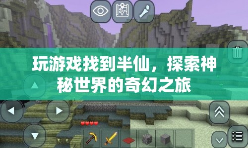 探索神秘世界，半仙的奇幻之旅