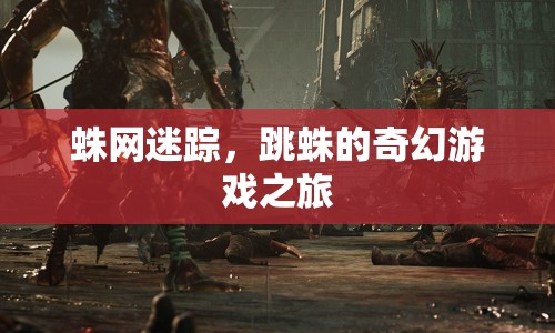 跳蛛的奇幻游戲之旅，蛛網(wǎng)迷蹤