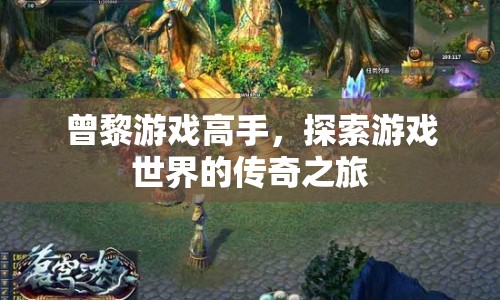 曾黎，游戲高手的傳奇之旅