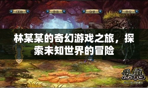 林某某的奇幻冒險(xiǎn)，探索未知世界的游戲之旅