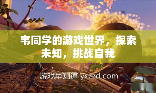 韋同學(xué)的游戲世界，探索未知，挑戰(zhàn)自我