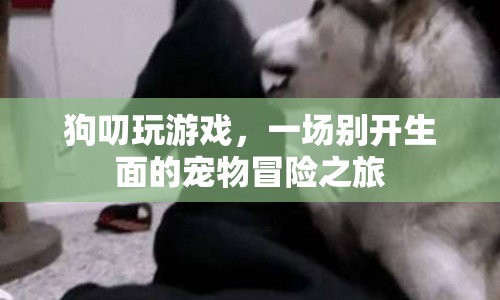 狗叨玩游戲，寵物冒險(xiǎn)之旅開(kāi)啟