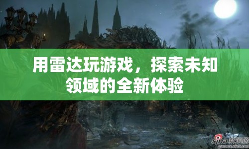 雷達(dá)游戲，探索未知領(lǐng)域的全新體驗