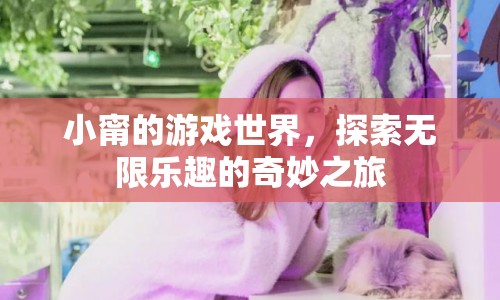 小甯的游戲世界，探索無(wú)限樂(lè)趣的奇妙之旅