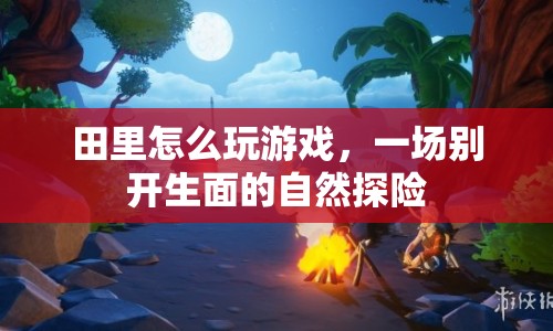 田里怎么玩游戲，一場自然探險的創(chuàng)意玩法